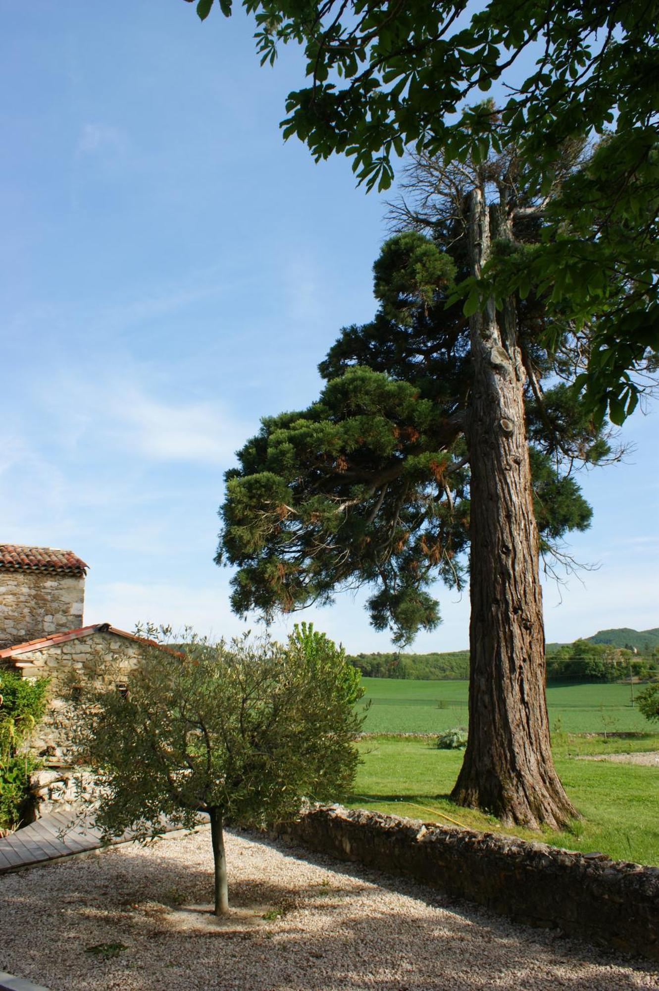 Le Prieure Des Sources Hotel La Repara Bagian luar foto